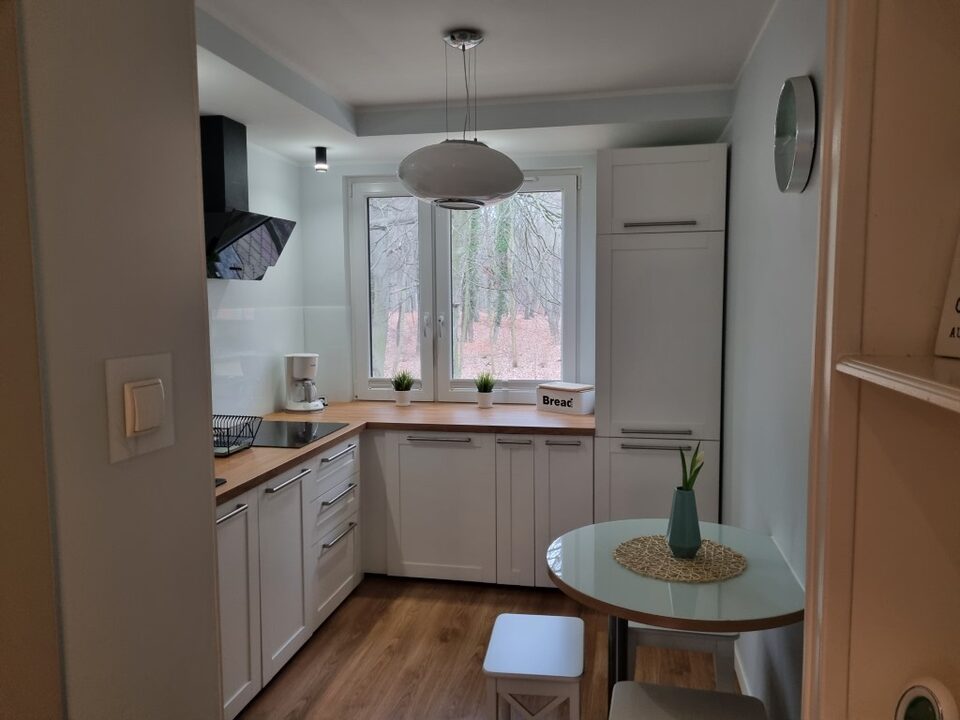 Cuisine avec plaque à induction et petite table – Appartement Dream, Międzyzdroje
