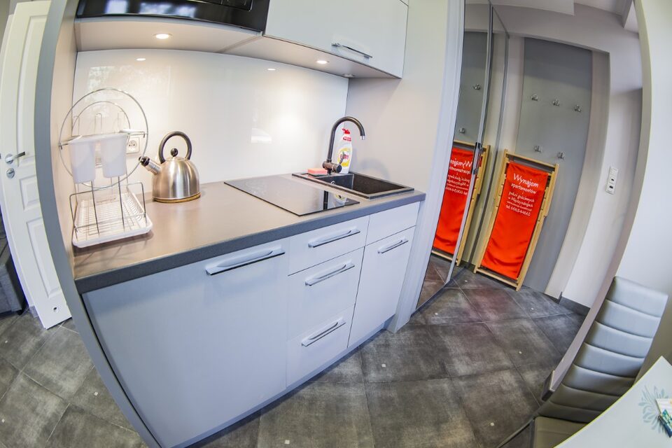Kitchenette avec plaque à induction – Appartement Turystyczna, Międzyzdroje