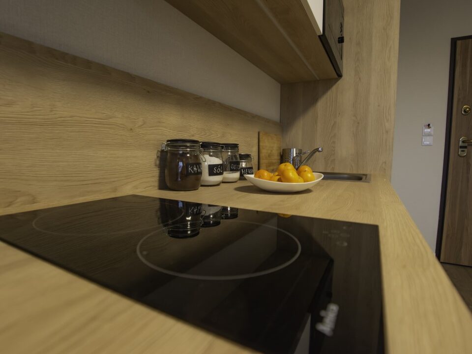 Kitchenette avec plaque à induction – Appartement avec balançoire, Międzyzdroje