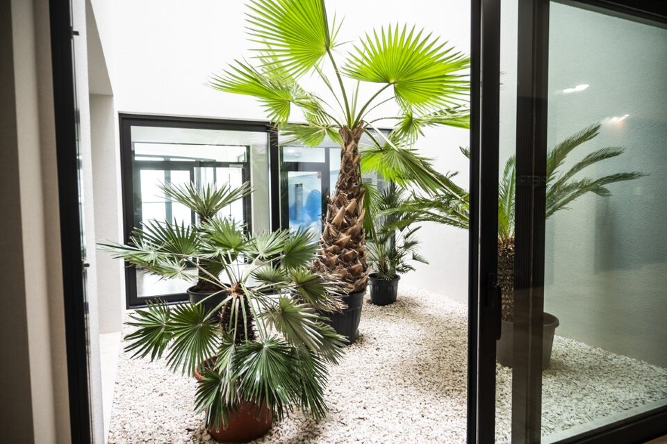 Jardin avec palmiers dans l'atrium du resort – Appartement Baltic Waves Resort A323, Międzyzdroje