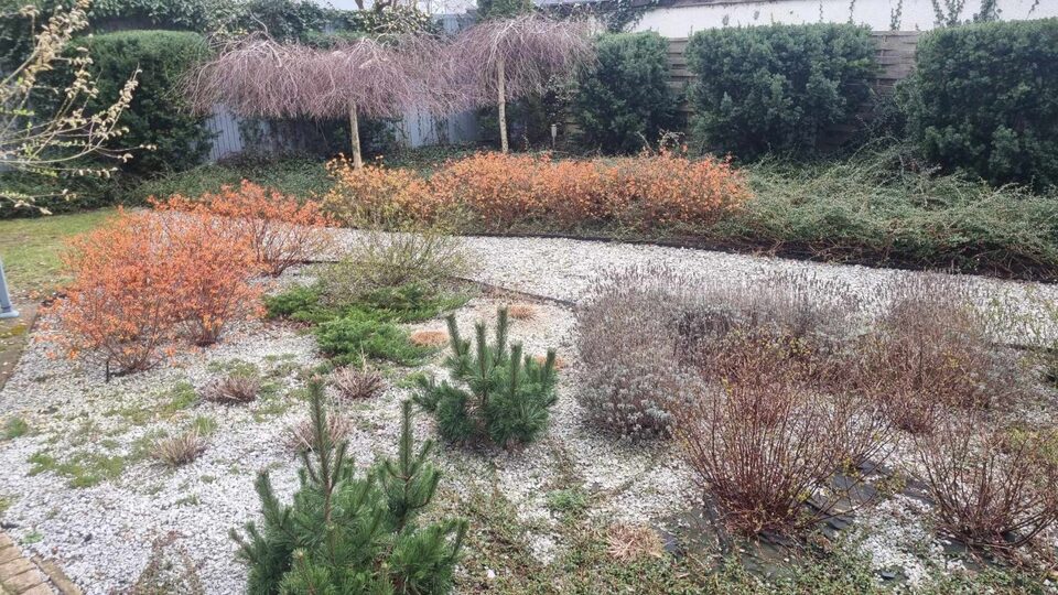 Jardin près de l'immeuble – Logement Marea Gold, Międzyzdroje